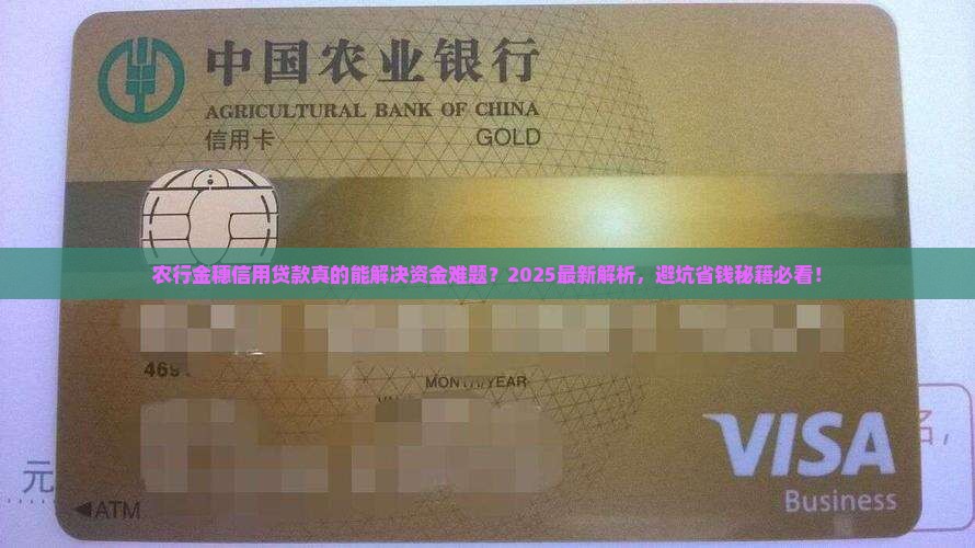 农行金穗信用贷款