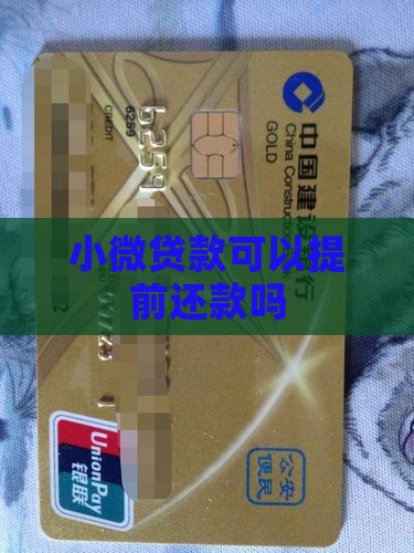 小微贷款可以提前还款吗