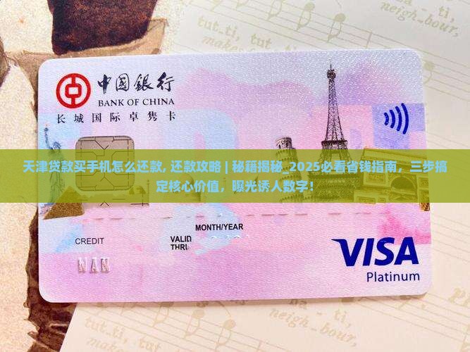 天津贷款买手机怎么还款