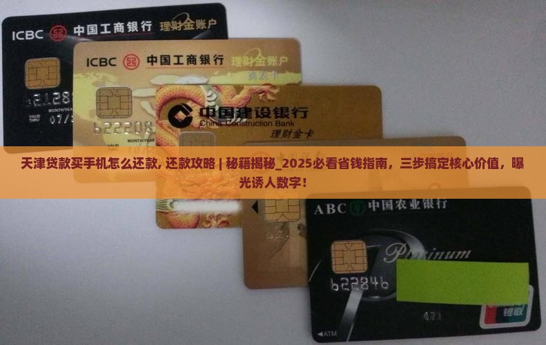 天津贷款买手机怎么还款