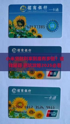 小米贷款利率最低多少钱