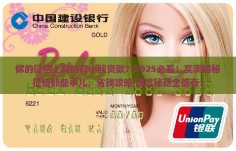 征信显示小额贷款吗