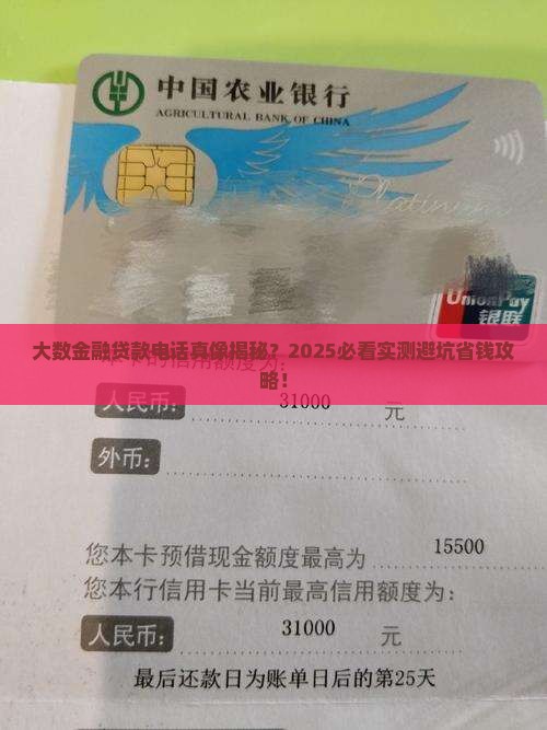 大数金融贷款平台电话
