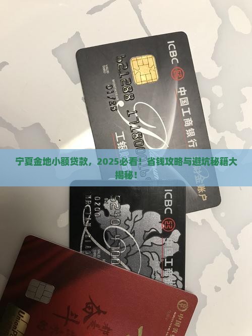 宁夏金地小额贷款