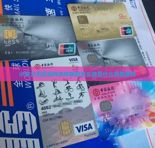 小贷公司贷款种类