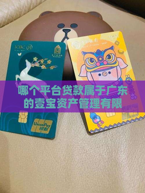 哪个平台贷款属于广东的