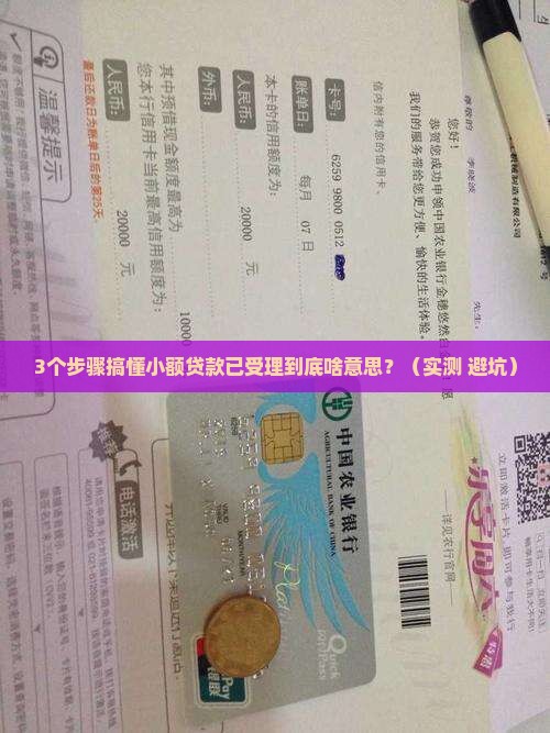 小额贷款已受理什么意思