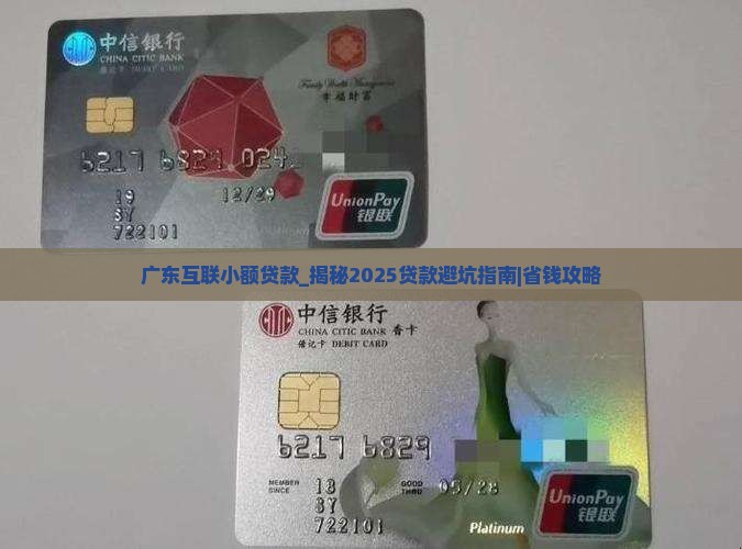 广东互联小额贷款
