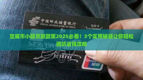 宣威市小额贷款政策