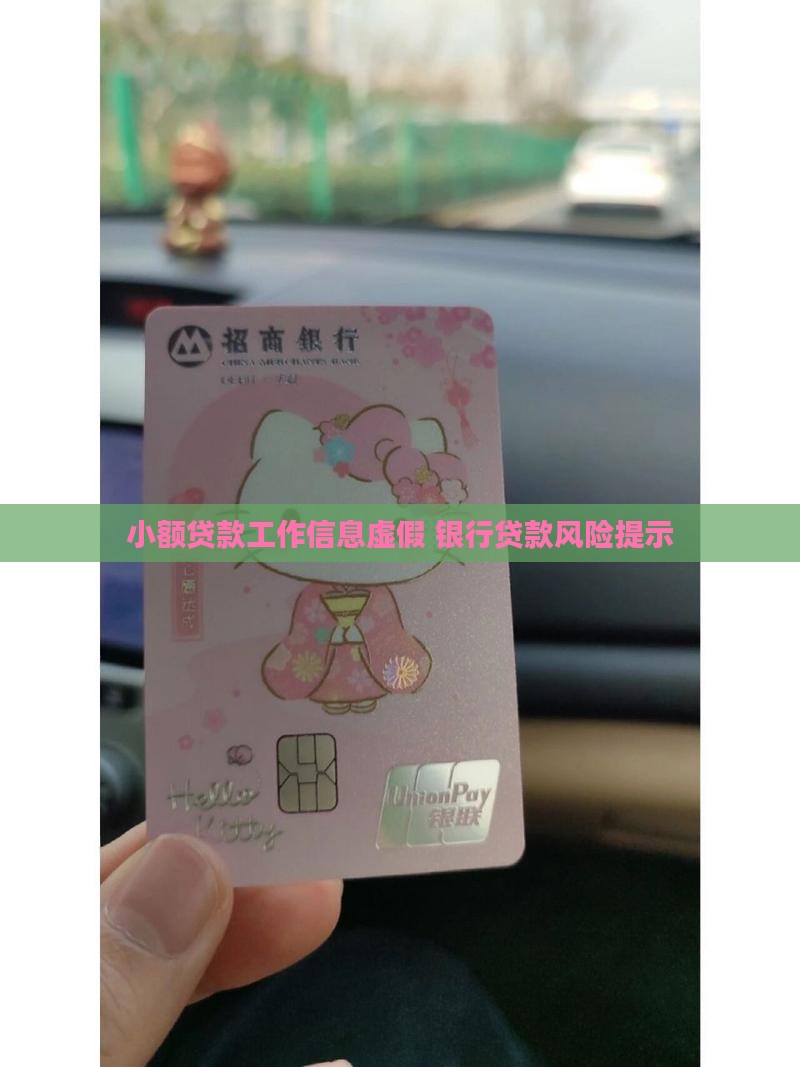 小额贷款工作信息假的