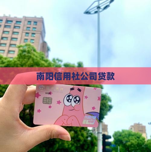 南阳信用社公司贷款