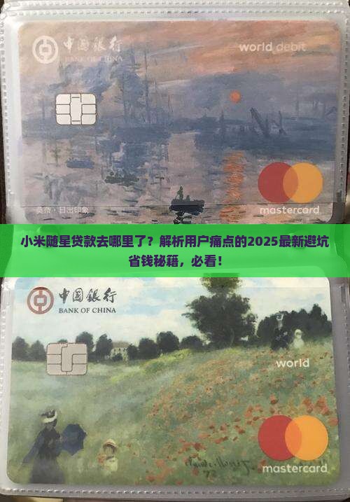 小米随星贷款去哪里了