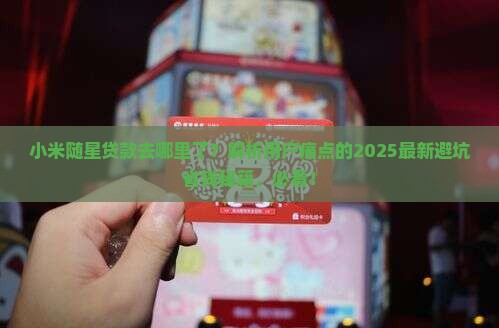 小米随星贷款去哪里了