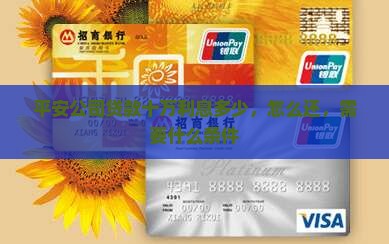 平安公司贷款十万