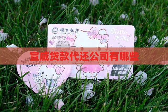 宣威贷款代还公司有哪些