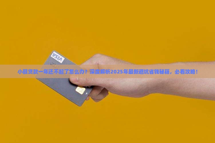小额贷款一年还不起了