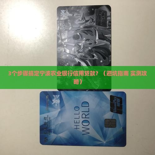 宁波农业银行信用贷款