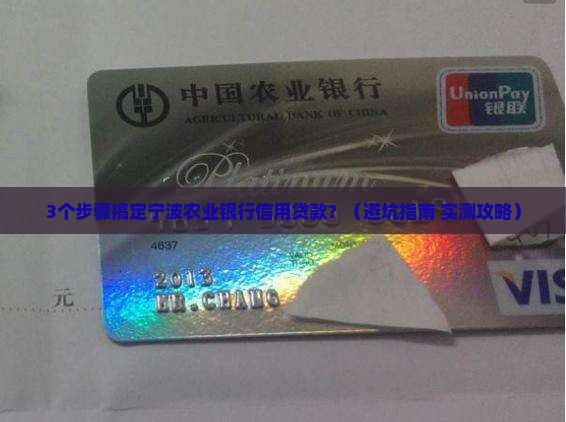 宁波农业银行信用贷款