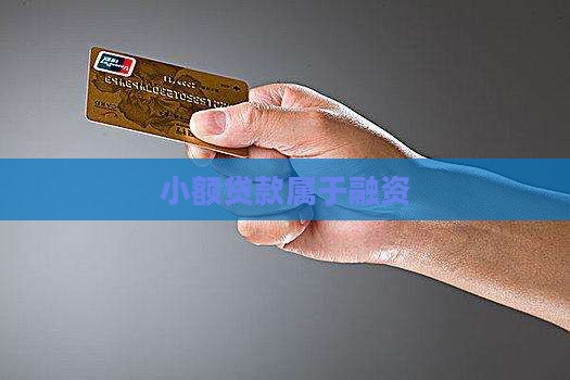 小额贷款属于融资