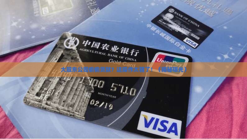 大股东公司拿去贷款