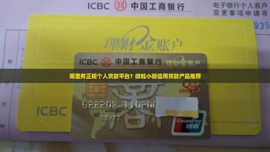 哪里有个人贷款的平台