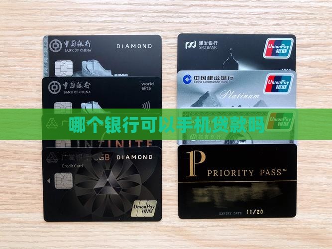 哪个银行可以手机贷款吗