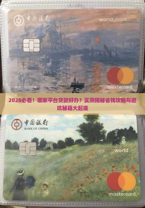 哪家平台贷款好办