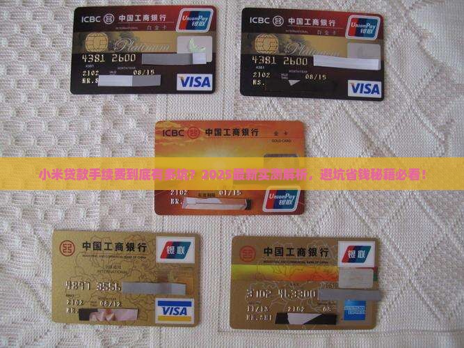 小米贷款了手续费
