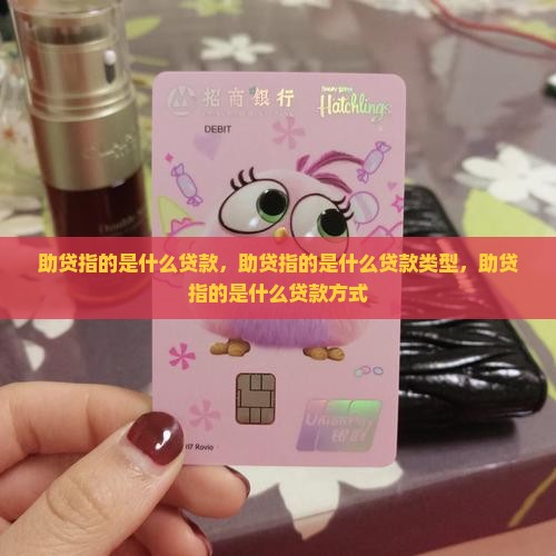 助贷指的是什么贷款