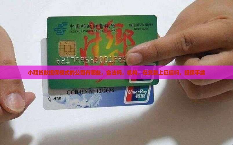 小额贷款担保模式的公司