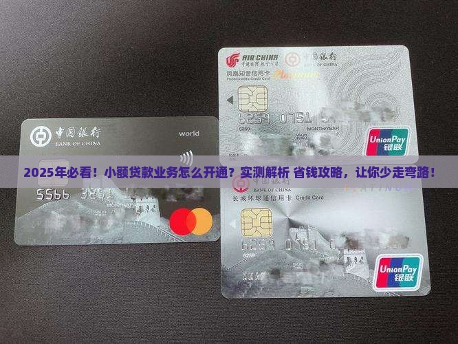 咋样开通小额贷款业务