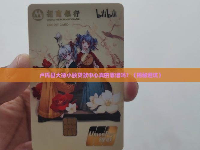 卢氏县大德小额贷款中心