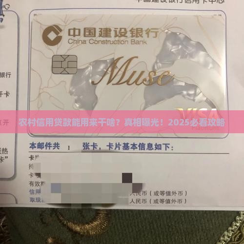 农村信用贷款有什么用途