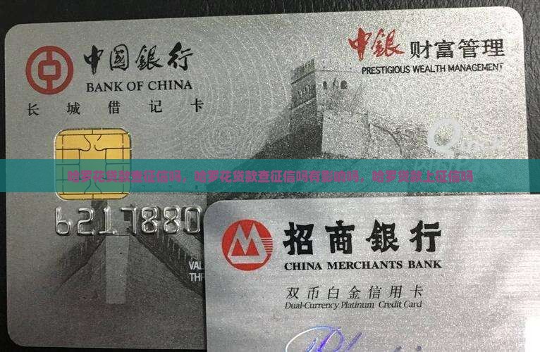 哈罗花贷款查征信吗