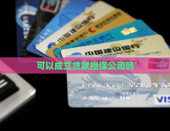 可以成立贷款担保公司吗
