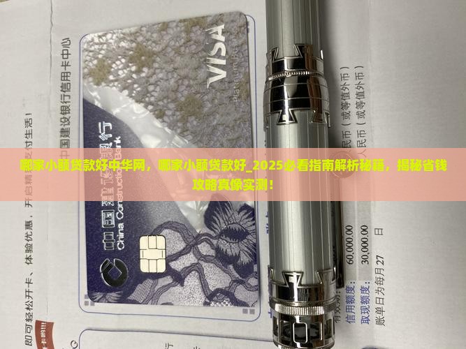 哪家小额贷款好中华网