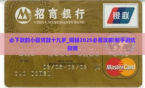 必下款的小额贷款十九岁