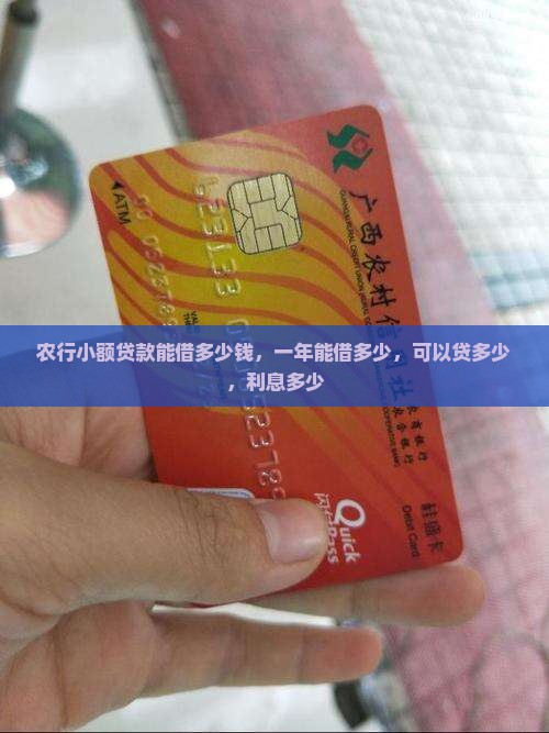 农行小额贷款能借多少钱
