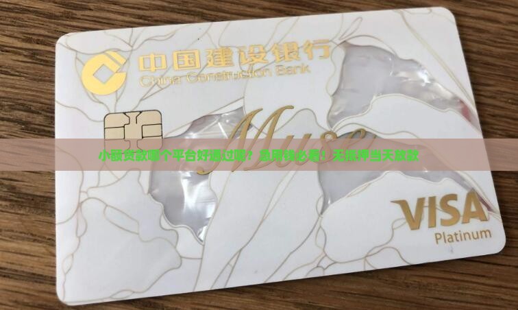 小额贷款哪个平台好通过呢