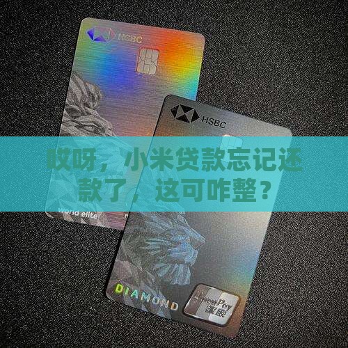 小米贷款忘记还了怎么办