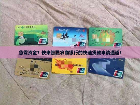 农商银行快速申请贷款