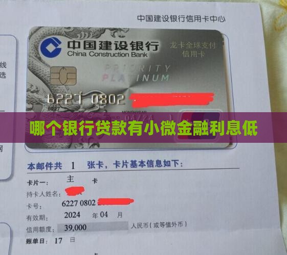 哪个银行贷款有小微金融 哪个银行贷款有小微金融