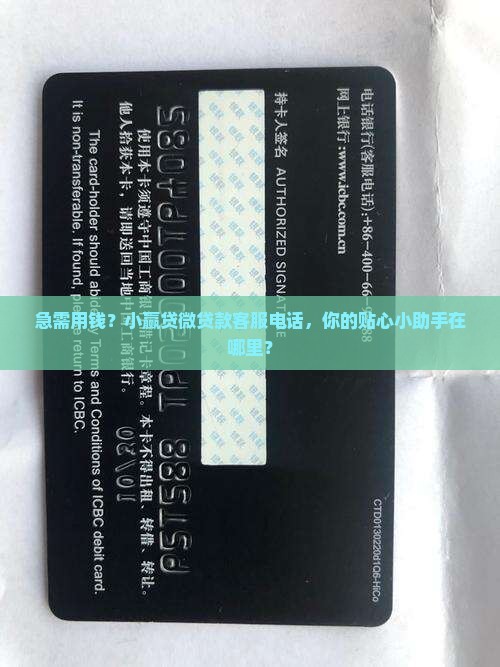 小赢贷微贷款客服电话