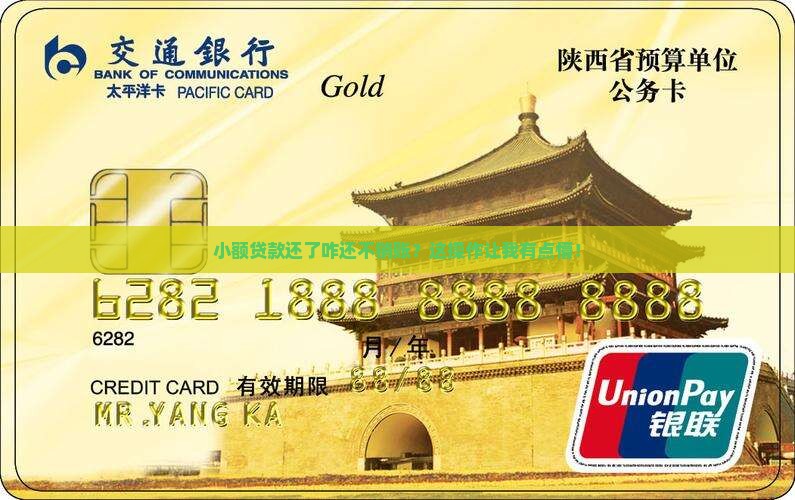 小额贷款还了不销账