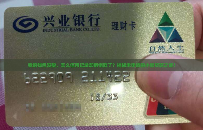 小额贷款自己没有申请