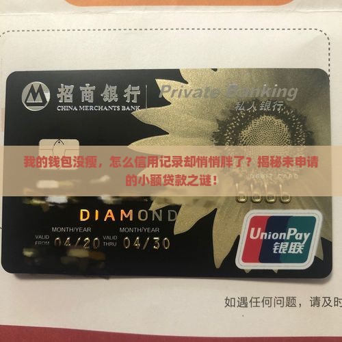 小额贷款自己没有申请