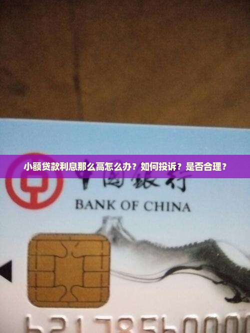 小额贷款利息那么高