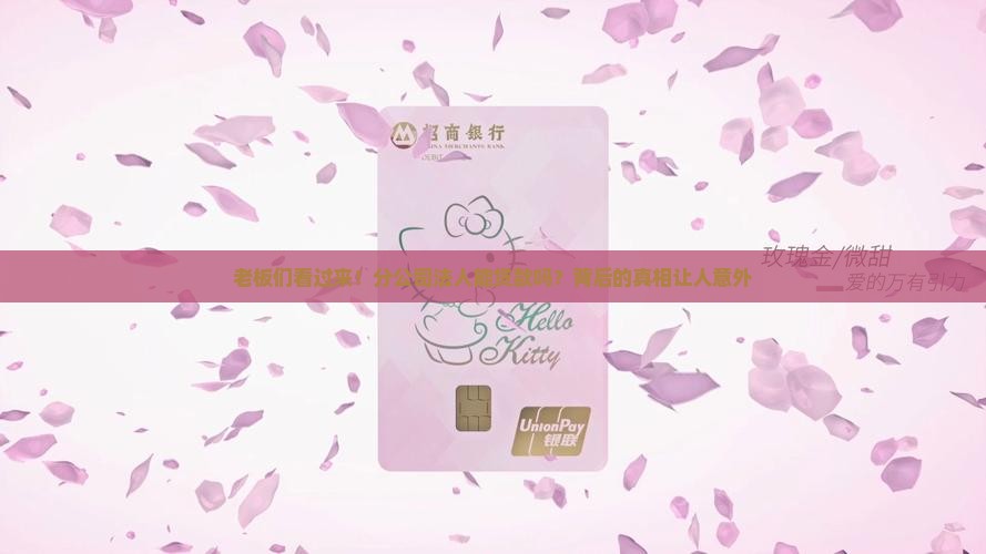 分公司法人能贷款