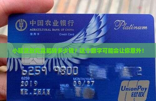 小额贷款可以转账多少