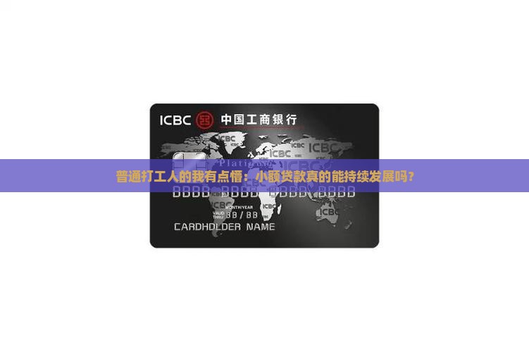 小额贷款能持续发展吗